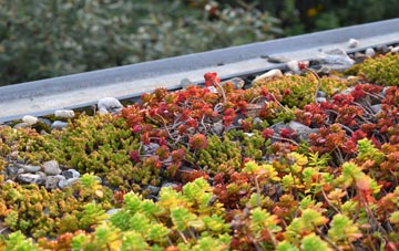 the cost of Eastchurch green roof installation