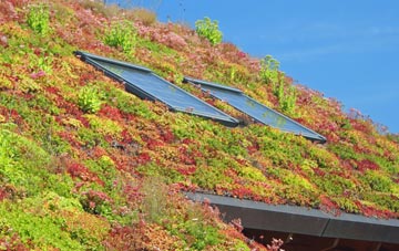 Eastchurch living roof systems