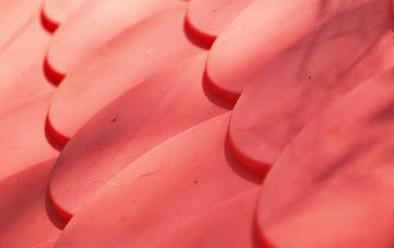 Eastchurch plastic roof costs